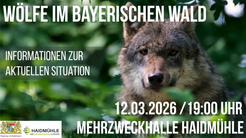 Flyer/Grafik zum Event: Wölfe im Bayerischen Wald – Informationen zur aktuellen Situation am Do., 12.03.2026 ab 19:00 Uhr