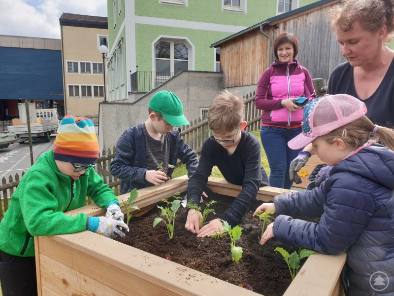 Workshop „Wir machen´s grün“ im Museumsgarten des „Schramlhaus“ am 30.04.2023 mit Gartenbau-Expertin Alexandra Mager (1.v.r.)
