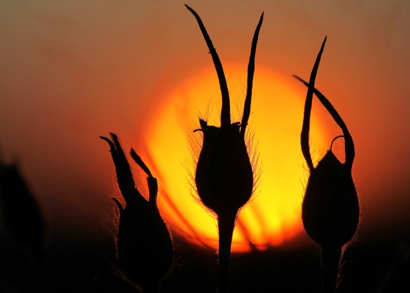 Flyer/Grafik zum Event: Natur in Augenblicken am Mo., 22.01.2024 - Di., 30.04.2024