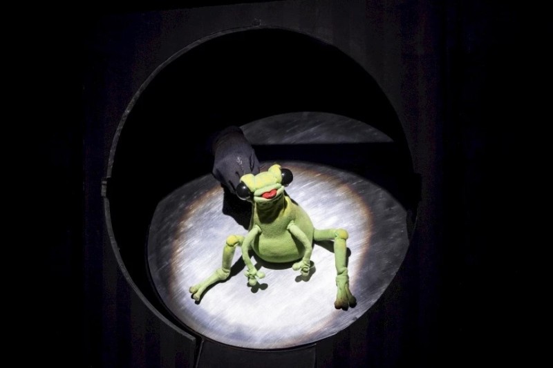 „Einfach Frosch!“