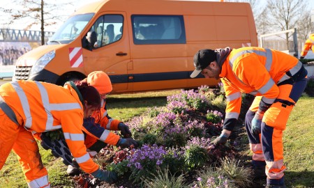 Purpurgl&ouml;ckchen, Elfenspiegel und Stiefm&uuml;tterchen startklar: Der Fr&uuml;hling ist da!