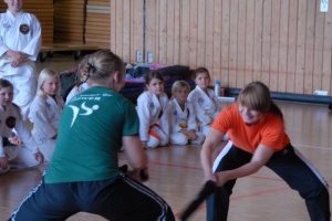 Karate Club Bayerwald beteiligt sich am Sommerferien Programm der Stadt Grafenau