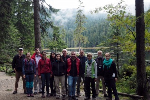 Wanderqualität führt durch das ARBERLAND