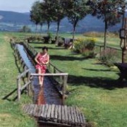 Kneippanlage Bischofsreut