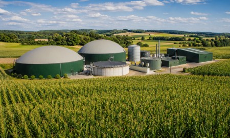 LBV kritisiert hohen Fl&auml;chenverbrauch durch Biogas