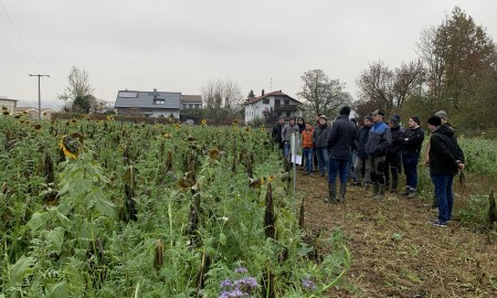 Flurbegehung zum Thema „Erosionsschutz und Erhalt der Bodenfruchtbarkeit durch Zwischenfrüchte“