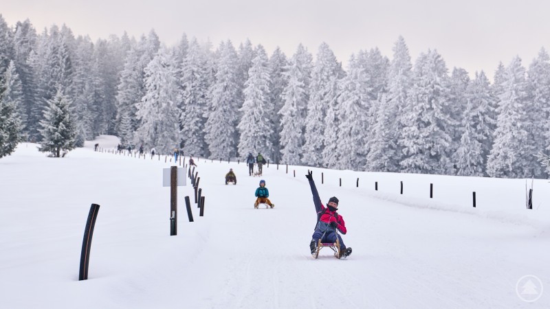 Ein Highlight des Tages - Schlittenfahrt vom Buchhüttenschachten zur Arberhochstraße. Ein Highlight des Tages - Schlittenfahrt vom Buchhüttenschachten zur Arberhochstraße.