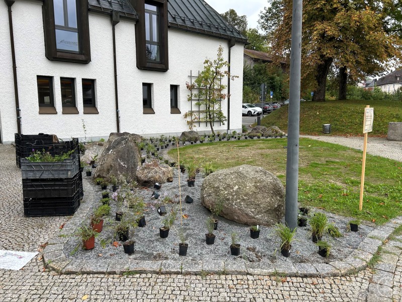 Die mit Splitt präparierte Pflanzfläche wurde mit einer Vielzahl mehrjähriger, standortgerechter Blütenstauden bepflanzt. Zahlreiche kleine Pflanztöpfe sind in einem mit Steinen bedeckten Beet vor einem weißen Gebäude aufgestellt.