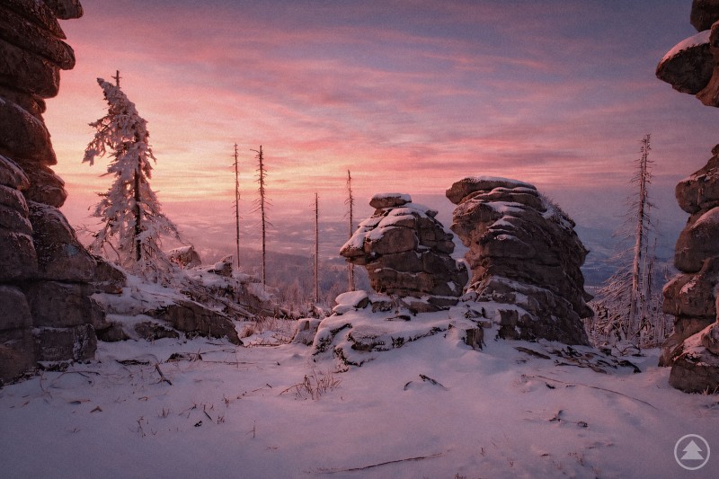 Winterliche Berglandschaft mit schneebedeckten Felsen und wenigen kahlen Bäumen. Am Horizont ist ein rosa-orangefarbener Sonnenaufgang zu sehen, der den Himmel über dem verschneiten Gelände färbt.