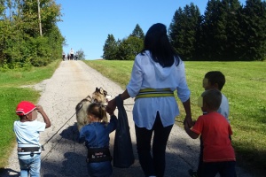 Abenteuer und Spaß mit Huskys für Pflegefamilien