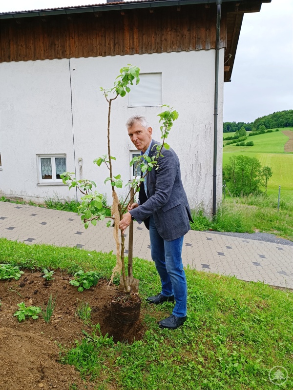 Auf Einladung von Vertretern des Elternbeirats sowie des Fördervereins der Grundschule Karlsbach pflanzt MdL Prof. Dr. Gerhard Waschler einen 