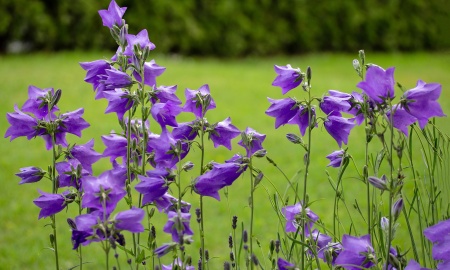 Frühjahrswetter im Bayerwald
