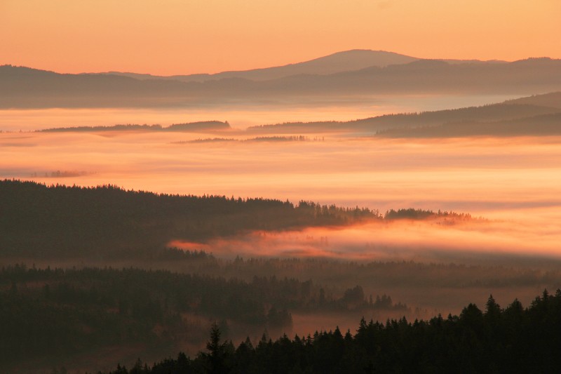 Flyer/Grafik zum Event: Foto- und Gedichtepräsentation „Momente des Lichts“ Stimmungen in schöner Natur am So., 17.11.2024 ab 15:00 Uhr