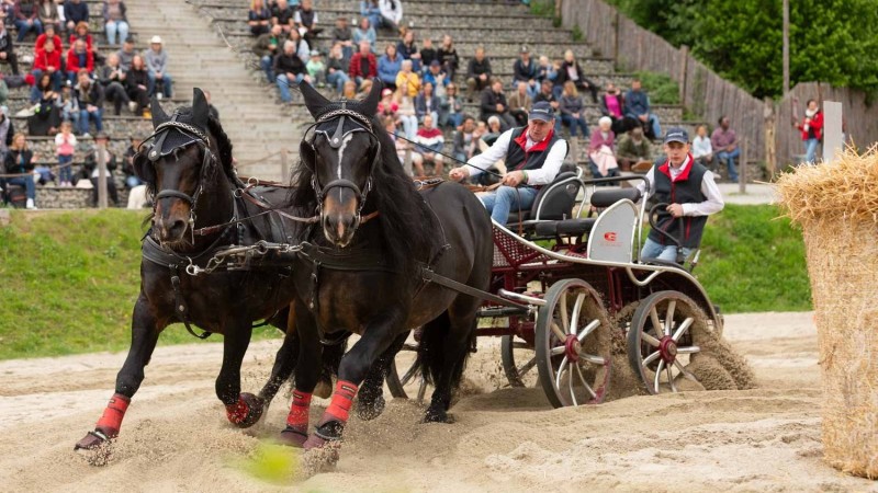 Flyer/Grafik zum Event: Starke Pferde am Sa., 10.05.2025 - So., 11.05.2025 ab 10:00 Uhr