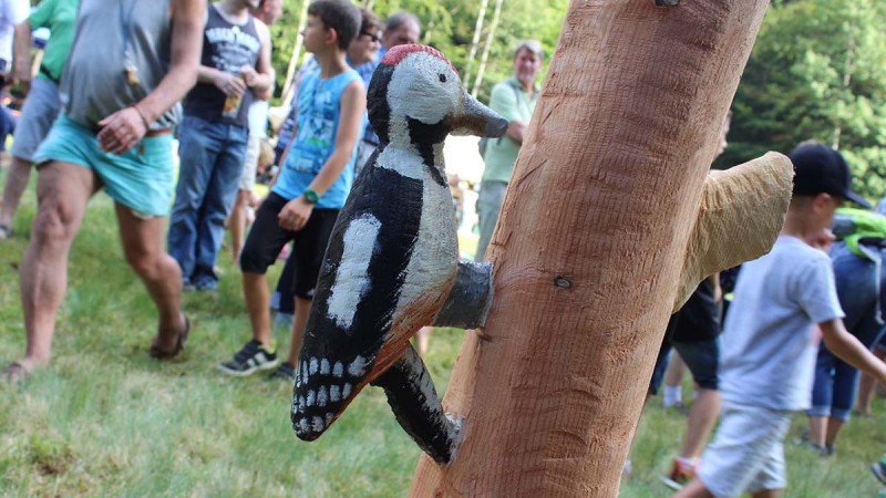 Flyer/Grafik zum Event: Ein Spechtival im Wald am So., 17.08.2025 von 12:00 bis 17:00 Uhr