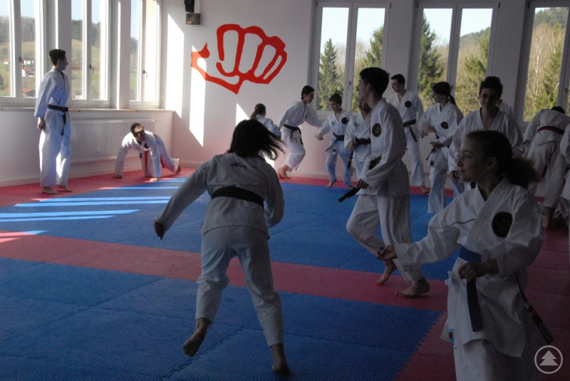 Praxis Übung bei SANKAN Karate