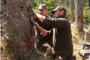Nationalpark ist um eine Käferart reicher