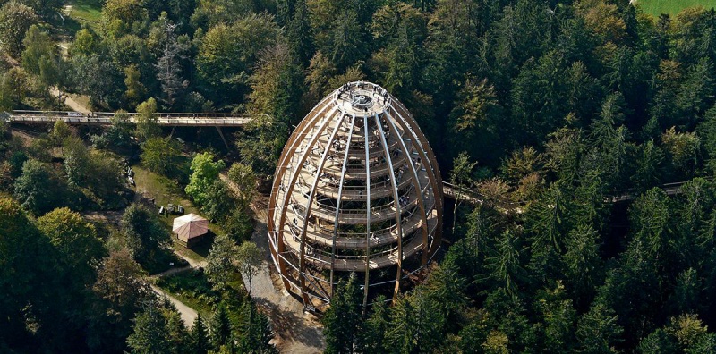 Flyer/Grafik zum Event: Führung auf dem Baumwipfelpfad am So., 01.09.2019 - Sa., 30.04.2022 von 14:00 bis 16:00 Uhr