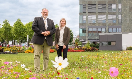 Neue Blühwiesen für Passau