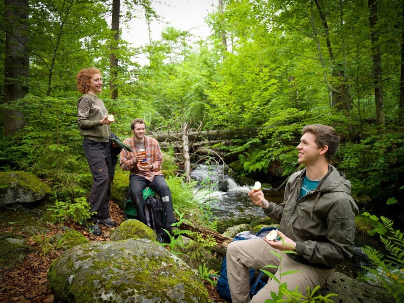 Flyer/Grafik zum Event: Glasperlen und Waldgeheimnisse am Sa., 01.06.2024 - Sa., 26.10.2024