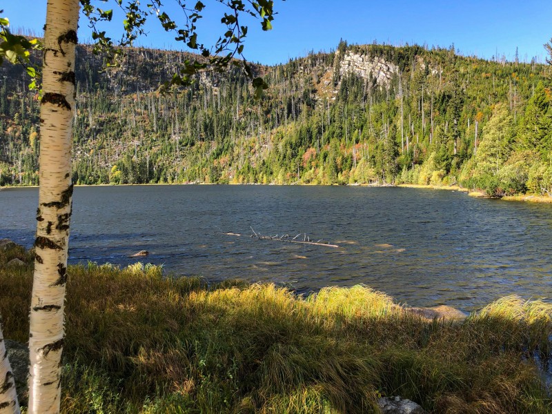 Flyer/Grafik zum Event: Vom Dreisessel zum Plöckenstein 2025 am Sa., 07.06.2025 ab 11:00 Uhr