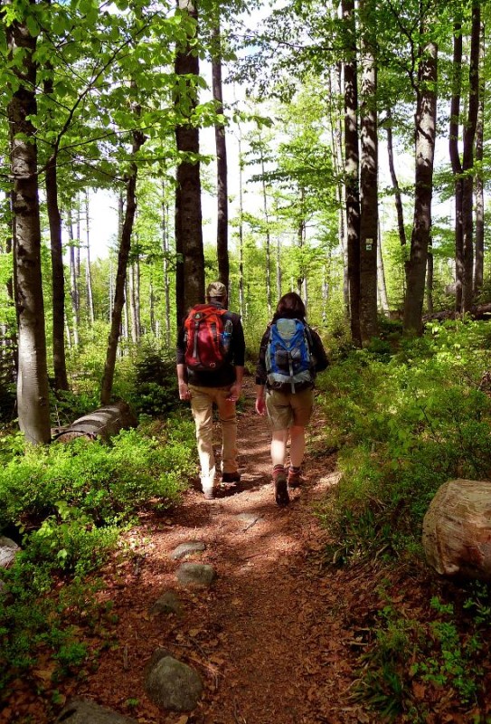 Flyer/Grafik zum Event: VHS - Grenzenlos unterwegs mit Klaus am Sa., 18.04.2026 von 08:00 bis 18:00 Uhr