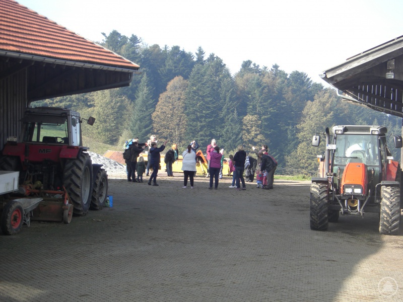 Viel Spannendes und Entspannendes war beim Ausflug auf dem Erlebnisbauernhof Zeintl für die Tagesmütter geboten 