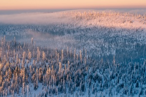 Entspannung in Teilen des Nationalparks