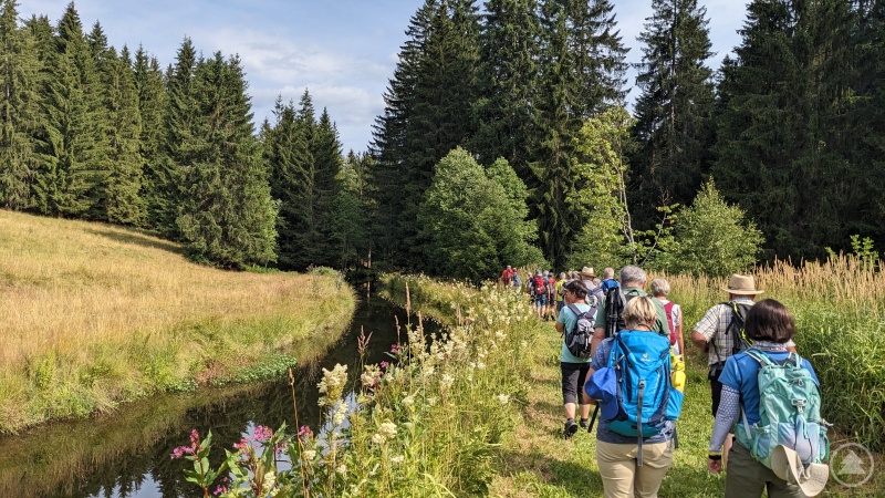 Gegen Ende der Tour wird der Große Regen immer ursprünglicher.