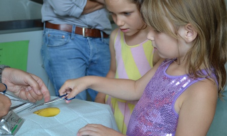 Montessori Schule Kreuzberg zu Besuch am Krankenhaus Freyung