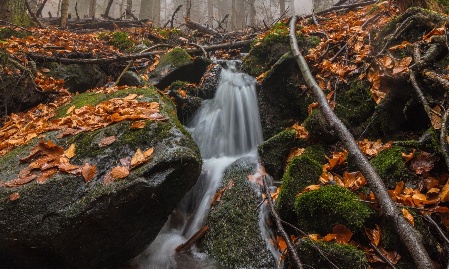 Pilgern entlang des Reschbachs