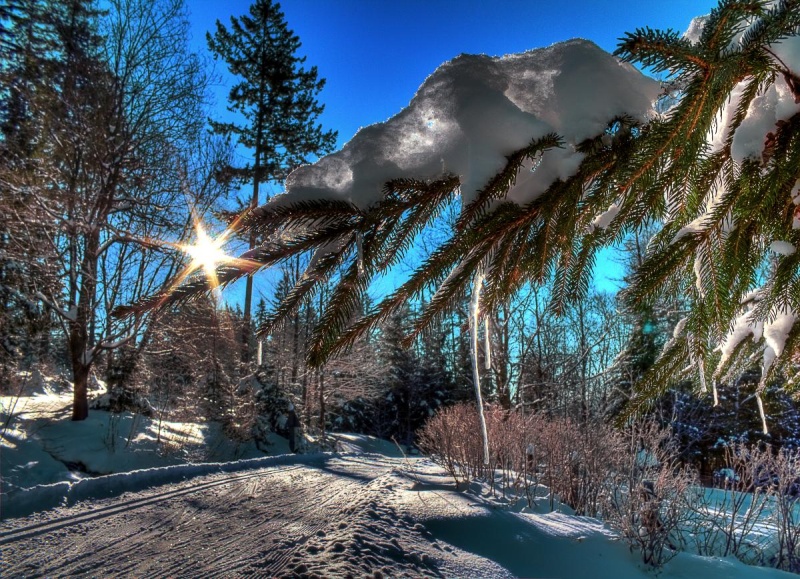 Flyer/Grafik zum Event: Family Schneeschuhtour für Kinder und Anfänger am So., 14.01.2024 - Do., 20.02.2025 von 14:00 bis 19:00 Uhr