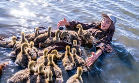 FILMTIPP: DER JUNGE UND DIE WILDGÄNSE
