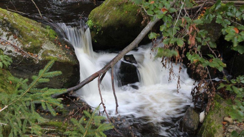 Flyer/Grafik zum Event: Steinklamm-Wanderung am Di., 06.05.2025 - Di., 22.07.2025