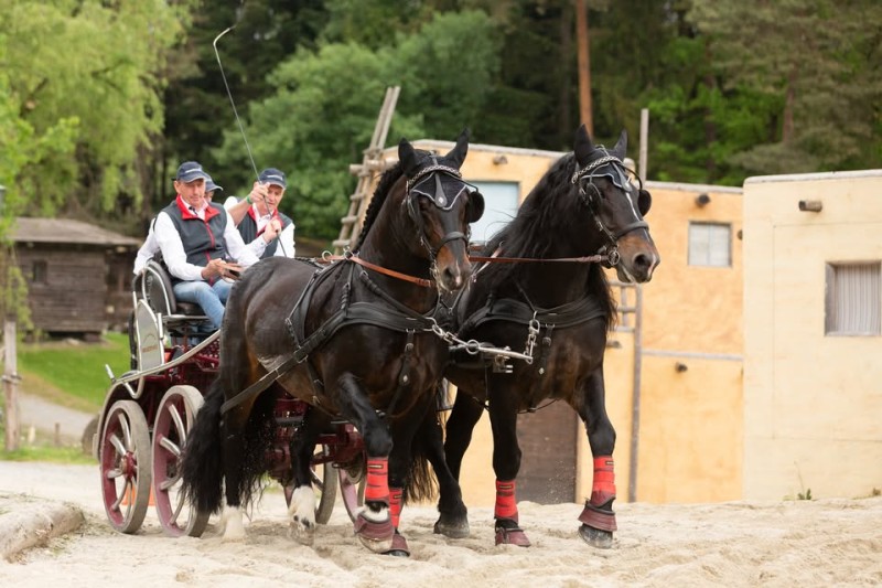 Flyer/Grafik zum Event: Starke Pferde Show 2026 in Pullman City Bayern am Sa., 09.05.2026 - So., 10.05.2026 von 10:00 bis 23:45 Uhr