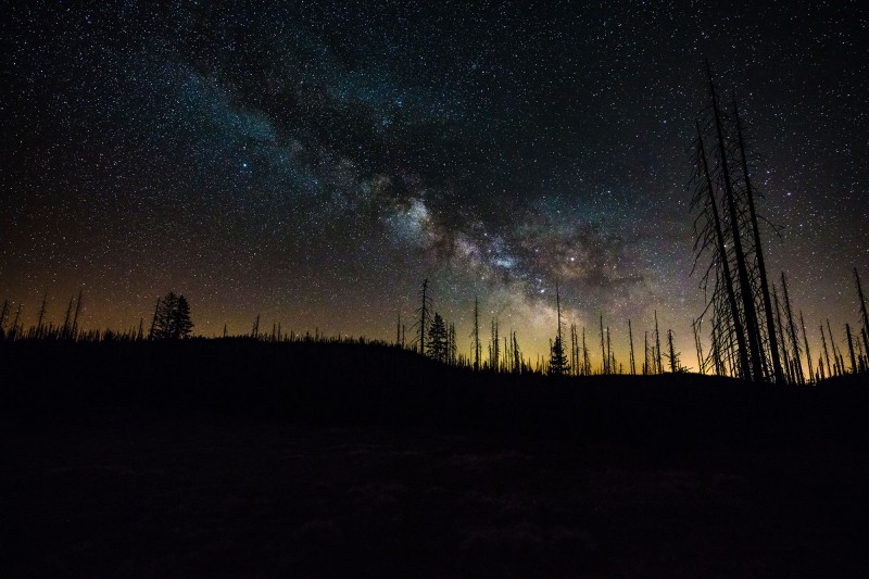 Flyer/Grafik zum Event: Sternenwanderung mit Nationalparkförster Till Clos 2025 am Di., 18.11.2025 ab 18:00 Uhr