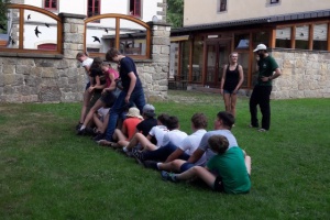 Auf Entdeckungstour durch Deutschlands wilde Wälder