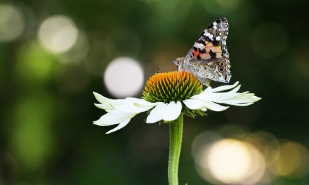 Das Wetterjahr 2023 im Bayerwald