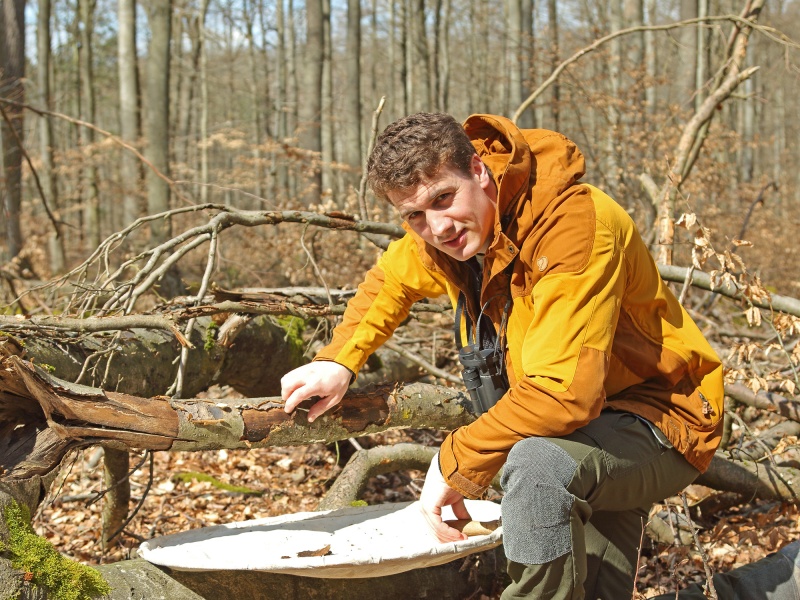 Flyer/Grafik zum Event: Faktencheck Borkenkäfer am Do., 29.02.2024 ab 18:30 Uhr