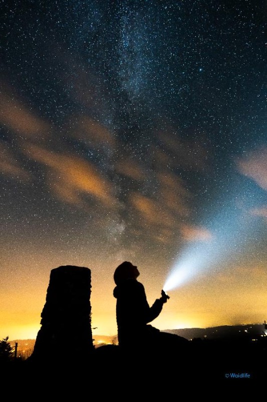 Flyer/Grafik zum Event: Taschenlampen-Wanderung am Sa., 02.11.2024 - Fr., 28.02.2025