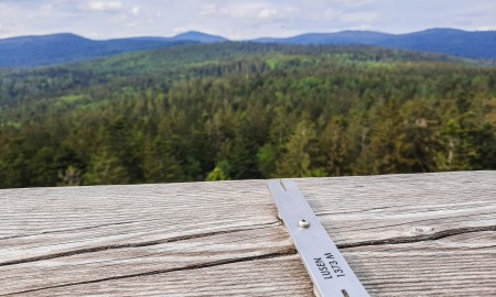 Sagenhafte Tour über den Baumwipfelpfad: Geschichten von Rachel und Lusen