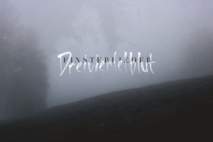Dreiviertelblut - Finsterlieder