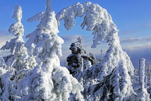 Bayerwaldwetter 2021