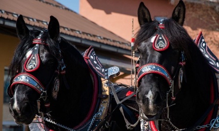 Palmritt – Reiterprozession in Schönberg am 10. April 2022