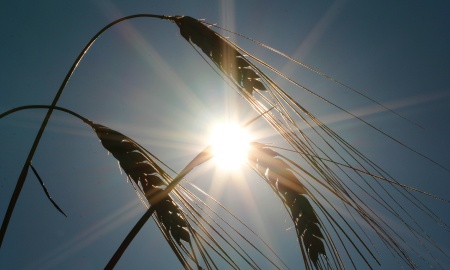 Trockenes erstes Julidrittel