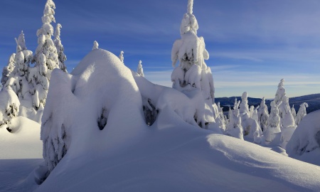 Herbstwetter im Bayerischen Wald 2023