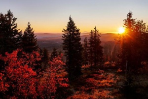 Bye, bye Herbst-Blues