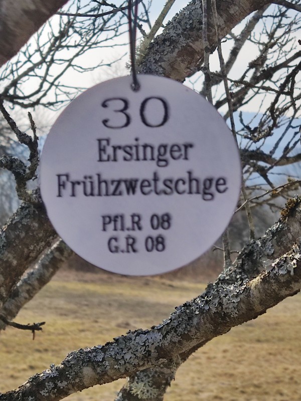 Foto Gartenbauverein 2.jpg