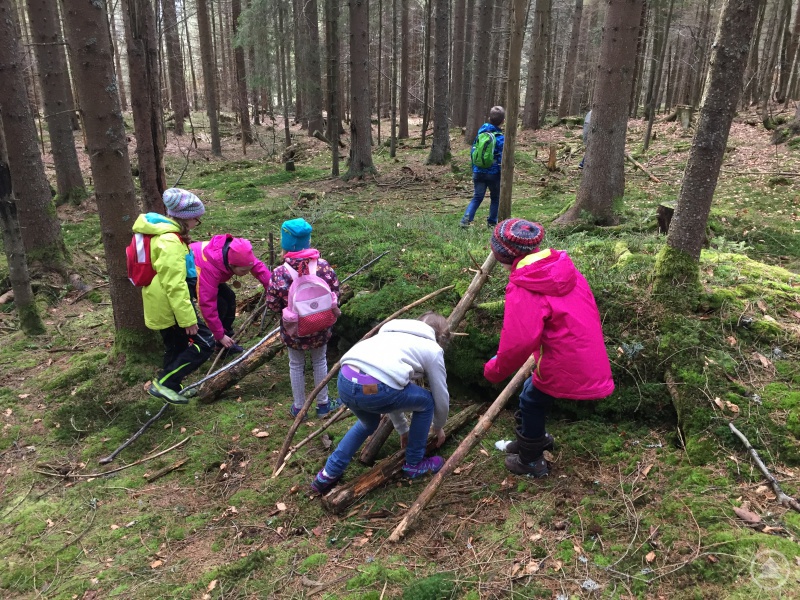 Spaß in der Natur haben und viel Neues entdecken, das verspricht das Kinderferienprogramm der Nationalparkzentren Falkenstein und Lusen.