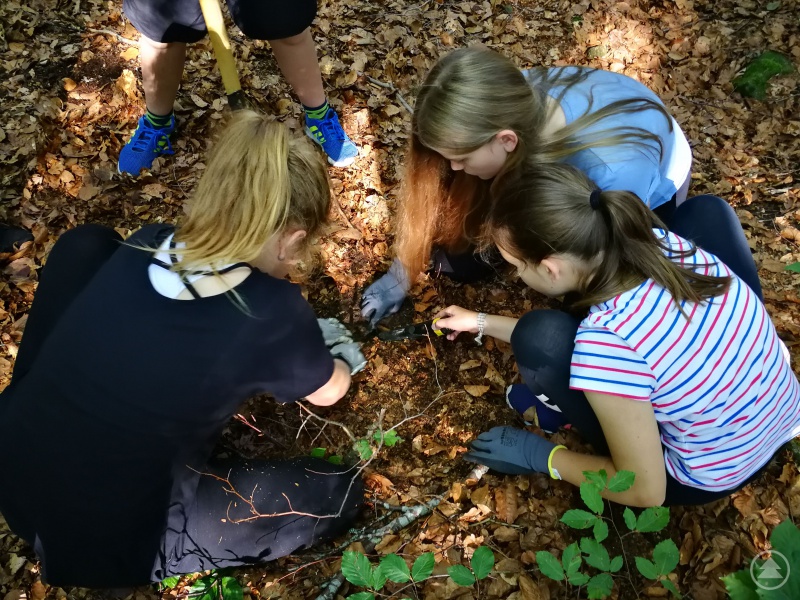 Hatte die Sonde angeschlagen, ging es daran, mit dem Pinpointer vorsichtig den Boden abzusuchen.